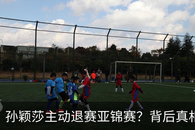 孙颖莎主动退赛亚锦赛？背后真相让人心疼又敬佩